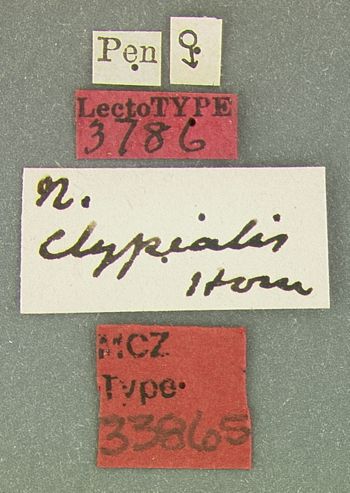 Media type: image;   Entomology 33865 Aspect: labels